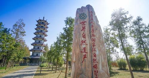 盐城景区爆料事件最新,惊现“幽灵游客”事件引发热议